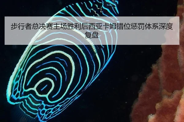 步行者总决赛主场胜利后西亚卡姆错位惩罚体系深度复盘